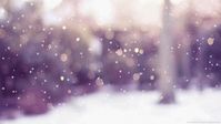 Snowing Winter GIF - Snowing Snow Winter - Discover & Share GIFs