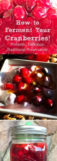 How to Make Fermented Cranberries for Your Holidays or Any Time: A Recipe — All Posts Healing Harvest Homestead