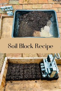 Soil blocks will easily up your homesteading and gardening game this spring! Once you have mastered this technique you will find it to be the simplest and least expensive method for starting seeds. Making soil blocks does not need to be hard and is the only way we start seeds on our farmstead. I will show you how to ditch the plastic trays and never look back!