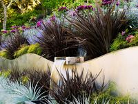 What happens when a plant biologist and a landscape artist team up to create a garden on a California hillside? Surprising plant combinations at every turn