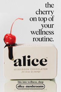 Brainstorm - A mouthwatering chocolate bite for a clean boost of energy, focus and clarity without the crash. Your morning beverage has worn off and your focus is waning, but the clock says there’s more day to seize. Your classic options won’t do the trick: too jittery, too weak or too bright green. So Alice invented Brainstorm, a smooth flow of mid-day renewal and energy in the form of a sumptuous, all-natural chocolate bite.