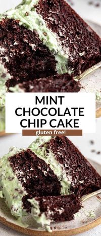 This gluten free mint chocolate cake is easy to make, dairy free, rich, fudgy and topped with a dairy free mint chocolate chip buttercream frosting. This gluten free cake is perfect for birthdays, parties or just a fun dessert.