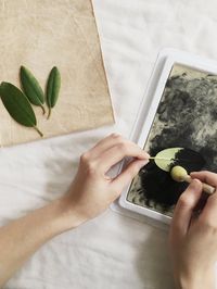 HOW TO PRINT WITH PLANTS ONTO FABRIC – Kaliko