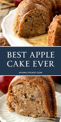 This Best Apple Cake Ever is super moist and delicious with the perfect amount of sweetness and spice! #cake #apples #dessert