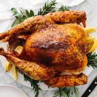 Easy Thanksgiving Turkey Recipe