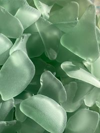 "100% Authentic Real Sea Glass picked by hand by myself (or husband) over the last 20 years. This listing is for Large Sea Foam Green Light Green sea glass ranging in size from approx. 3/4\"-1\". FREE SHIPPING (in the US)! If you're looking for more sea glass, please see my other listings here: https://etsy.me/3oPVx31 All glass comes from the Atlantic side of Florida with a few pieces on occasion from Sanibel Island. We love our glass and only pick the best for you. Our glass is great for crafts