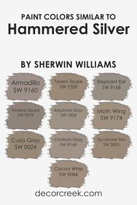 Choosing similar colors can significantly enhance the aesthetic and feel of a space, creating a harmonious and balanced look. Similar colors to Sherwin Williams’ Hammered Silver, like Armadillo, Timeless Taupe, Curio Gray, and others, work together by sharing similar undertones or intensity, which allows them to blend seamlessly within a room’s decor. This similarity in hues helps to create a cohesive atmosphere that is pleasing to the eye, without causing a jarring contrast.