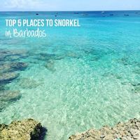 Top 5 Places to Snorkel in Barbados