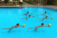 people doing exercise with aqua dumbbell in a swimming pool