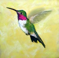 Hummingbirds