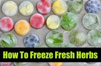 How To Freeze Fresh Herbs (Thanks to Natural Living Ideas for sharing my post on how to freeze Rosemary and Thyme)