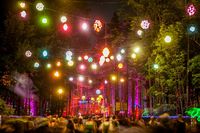 Gallery – The Art of Electric Forest | Electric Forest Festival