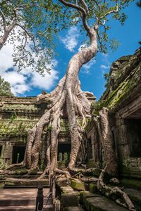 Traveling Cambodia soon? Here is the ultimate Cambodia Bucketlist for those planning to visit the country. From Siem Reap to Phnom Penh and all the lesser known hidden gems, this guide will inspire you to really explore the Cambodian Country. Angkor Wat Cambodia | Siem Reap Cambodia | Phnom Penh Cambodia | Traveling Cambodia