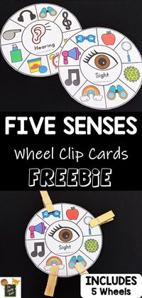 Five Senses Clip Cards - The Chatty Kinder