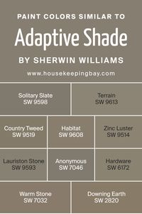 Similar colors play a crucial role in design and decoration because they create harmony and bring a cohesive look to any space. When colors closely resemble each other, such as the variants of Adaptive Shade SW 7053 by Sherwin Williams, they can effortlessly blend together, producing a seamless transition from one tone to another. This subtle shift in shades is what provides depth and complexity to interiors without overwhelming the senses.