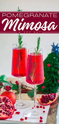 This holiday pomegranate mimosa recipe is a must-make Christmas party drink! Made using dark red pomegranate juice, and a sprig of greenery, this Christmas cocktail looks so festive! It's also a great New Year party drink! Add this to your list of Christmas alcoholic drinks!