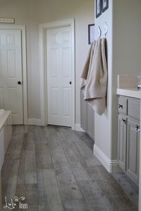 Natural Timber Ash Porcelain Floor Tile at Lowes