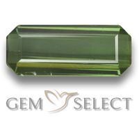 Tourmaline is the birthstone for October. GemSelect features this natural untreated Tourmaline from Mozambique. This  Tourmaline weighs 1ct and measures 9.9 x 4.2mm in size. gemselect.com  #birthstones #healing #jewelrystone #loosegemstones #buygems #gemstonelover #naturalgemstone #coloredgemstones #gemstones #gem #gems #gemselect #sale #shopping #gemshopping #octoberbirthstones #naturaltourmaline #tourmaline #tourmaline #octagongem #octagongems #gem #