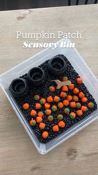 Pumpkin Patch Sensory Bin | Sensory bins, Toddler sensory bins, Kids sensory