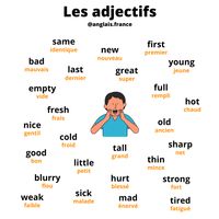 Quelques adjectifs à connaître en anglais  #anglaisfrance #apprendreanglais #parleranglais #anglaisfrançais #apprendrelanglais #coursdanglais #coursanglais #vocabulary #vocab #learnvocabulary #englishvocabulary #onlineenglish #easyenglish #anglais #fle #learnfrench #apprendreanglaisenligne #anglaisdébutant #progresserenanglais #coachanglais #nouveau #petit #malade #net #rempli #jeune #gentil #bon #vide