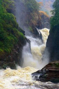 Murchinson Falls, Uganda by Michael Trezzi