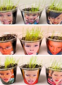 Cute Earth Day project for kids - Growing Grass Hair