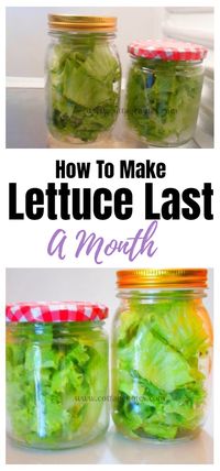 An easy way to make your lettuce last longer #kitchenhacks #householdhacks