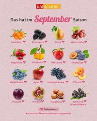 EAT SMARTER | Gesund essen 🧡 on Instagram: "BITTE TEILEN | Auf welche Obstsorten freust du dich am meisten im September? 😍⁠ ⁠ 📌 Speichere dir die Übersicht für später, dann findest du sie schnell wieder⁠.⁠ ⁠ 👉🏼 Kennst du schon unseren EAT SMARTER Saisonkalender? Alle Infos dazu findest du in unserem Instagram Shop. 💛⁠ ⁠ #saisonkalender #september #obst #lebensmittelfakten #lebensmittel #saisonal #eatsmarter⁠"