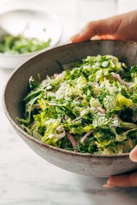 Liz's Bistro Salad! Crunchy, light, bright, and ultra-fresh. This French-inspired bistro salad is an absolute star as a side for nearly any dinner. Tender greens, fresh herbs, pickled onions, and a delicate vinaigrette on top. #bistrosalad #sidesalad #salad