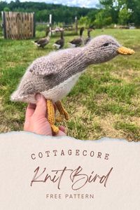 This sweet little knitted bird is giving some major cottagecore feels! Follow the link to go directly to the free knitting pattern and tutorial, or PIN NOW and save for later!