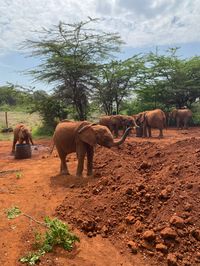 Nairobi, Kenya