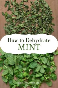 How to dry mint at home with three methods to choose from; oven-drying, dehydrator, or air-drying. This post also includes mint benefits and how to store, convert, and use dried mint!