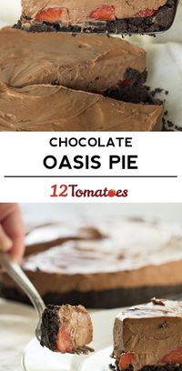 Creamy Chocolate Oasis Pie