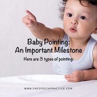 189 Likes, 8 Comments - Thespeechpractice (@thespeechpracticesg) on Instagram: “When a baby starts pointing, it is a sign that your child wants to tell you something or that they…”