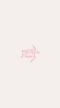 iphone wallpapers - coastal - summer - seashells - diy - iphone backgrounds - coquette - pink - bows - turtles