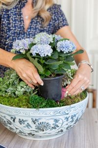 How To Make An Indoor Container Garden – Alicia Wood Lifestyle