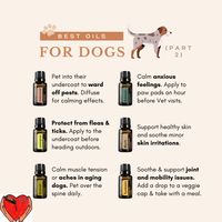 More dog safe oils: Cedarwood: pest repellent, relaxing atmosphere Dilute, avoid contact w/ their eyes & nose. Balance: topical use to help w/ anxiety. Lemongrass: Dilute for a natural flea & tick repellent Myrrh: skin health, minor irritations Turmeric: joint & mobility issues Marjoram: muscle tension Read whole post on my Instagram. Questions: jamieeasterly@essentiallifewithjamie.com #doTERRA #pureandnatural #selfcare #empowered #essentialoils #essentiallife #November #fall #pets