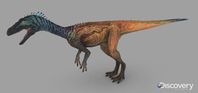 Eoraptor Lunensis (Male). Appared in: Eoraptor segment. Formation: Ischigualasto formation.