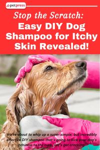 Is your furry friend always scratching away?🐕‍🦺🚿 Try our DIY dog shampoo for itchy skin—a simple, cost-effective remedy that you can whip up at home. Our guide not only provides a step-by-step recipe, but also walks you through understanding the causes and symptoms of itchy skin. Plus, we've included tips on preventive measures like diet changes and regular grooming to ensure your pet's skin remains healthy. #DIYDogShampoo #ItchySkinSolution #PetCareTips #HealthyDogs.