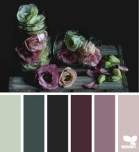 flora palette                                                                                                                                                                                 More