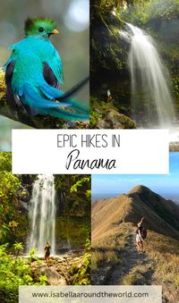 Panama is a great destination for nature lovers and hiking enthusiasts. The country offers many incredible hikes over grassy hills, to majestic waterfalls and to spot wildlife such as the beautiful bird Quetzal. In this blog post I am sharing the details of 4 of my favorite hikes in the country as well as a list of additional hikes you can do here. Enjoy! hikes Panama | best hikes in Panama | Panama travel | best things to do in Panama | Panama trip | Panama inspiration