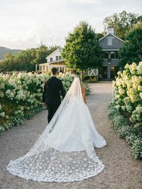 Pippin Hill Farm & Vineyards is an all-season, full-service venue for the ultimate wine country weddings.  Photographer | Erin Wilson Photography  #virginiaweddingvenue #hydrangeas #vineyardwedding #brideandgroom