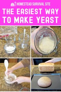 There are many ways to make own yeast, but arguably the easiest way is to grow a sourdough starter. To do this, all you have to do is capture wild yeast using flour and water. Though there are other methods that are fairly easy, I recommend this method. It involves basic ingredients that everyone already has on hand: flour and water. Here's how to make yeast.