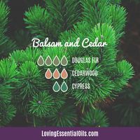 10 Cedarwood Diffuser Blends - Calm Stress and Gain Confidence by Loving Essential Oils | Balsam and Clear with douglas fir, cedarwood, and cypress #diffuserblends #lovingessentialoils #cedarwoodessentialoil