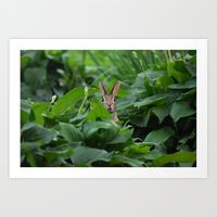 Garden Bunny Art Print