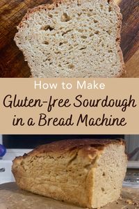 Gluten-free Sourdough Bread Recipe - The Holistic Mama