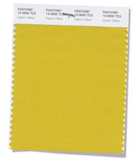 PANTONE 15-0850 Ceylon Yellow Savory and spicy yellow adds an exotic touch.