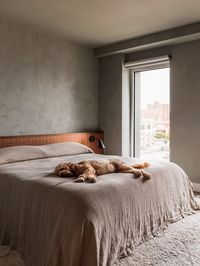 The interiors of this Brooklyn condo feature neutral tones, wholesome natural materials and fibers, and subtle textures. Many of the walls are brush painted with Lime Wash, to give them a subtle textural interest. The primary suite features a custom walnut built-in headboard and side tables, a bookshelf and dresser, custom wardrobe millwork, and a sliding door with slatted detailing.