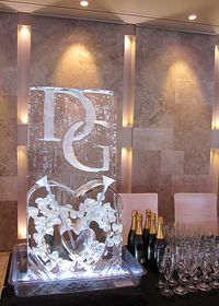 Shut the front door! Champagne ice luge!