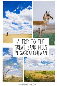 A trip to the Great Sand Hills in Saskatchewan - some of the largest sand dunes in Canada